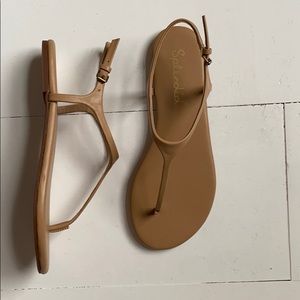 Splendid Sandals